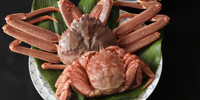 割烹 築地 きやま - 画像14