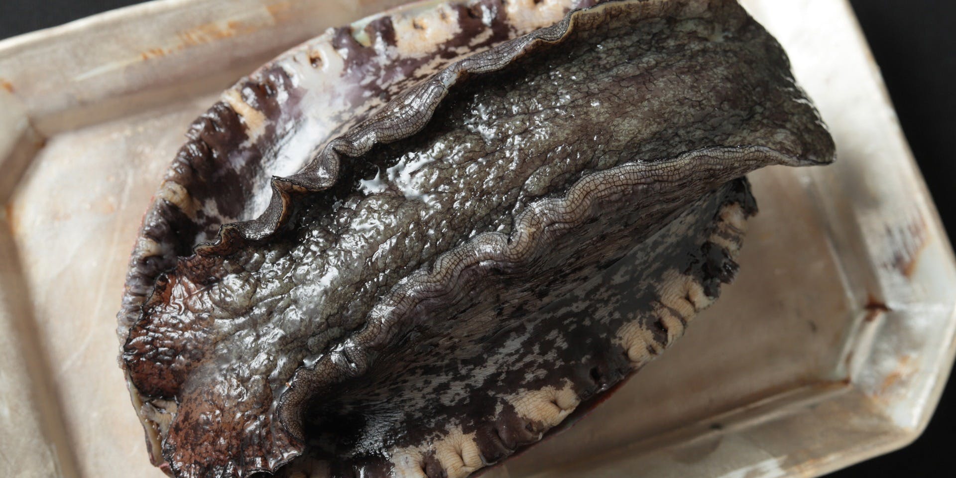 割烹 築地 きやま - 画像7