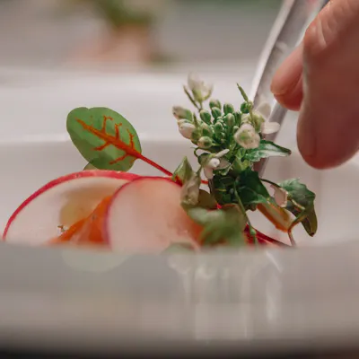 新鮮な魚介と旬菜が織りなす至福の料理