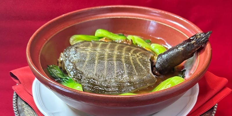 【朱雀コース】