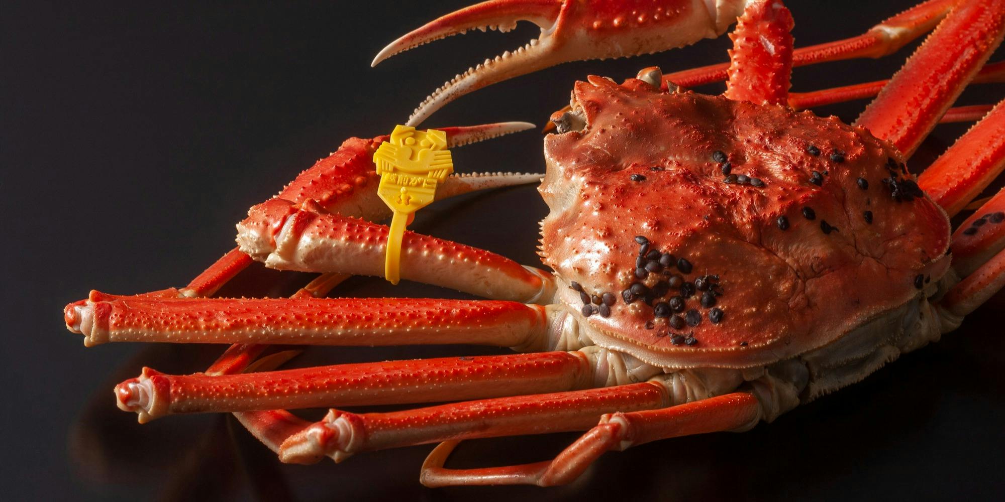 広島 かに真 - 画像7