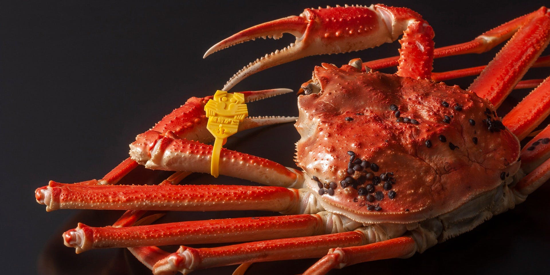 広島 かに真 - 画像6