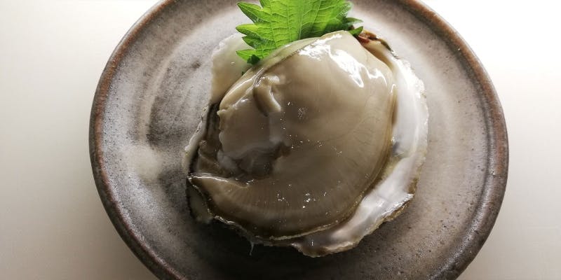 【席のみ予約】酒房 猩猩の魅力が詰まった御料理をアラカルトでお楽しみください！