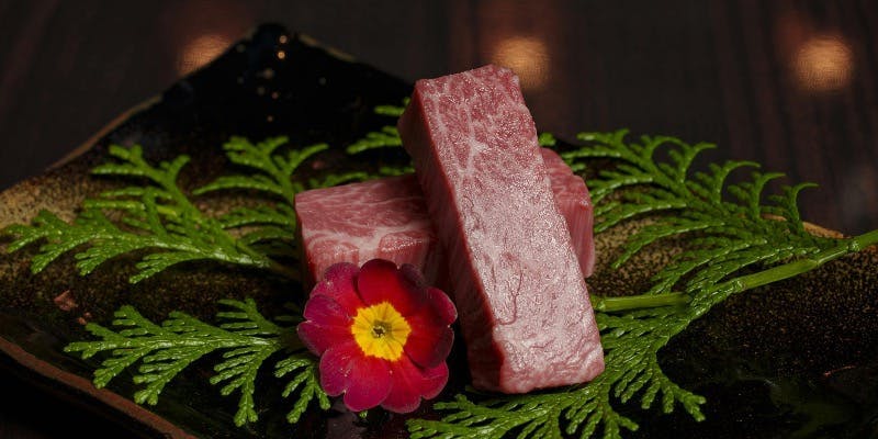 【北新地コース（1,2月）】女性におすすめ！色んな種類の料理やお肉を楽しみたい方へ