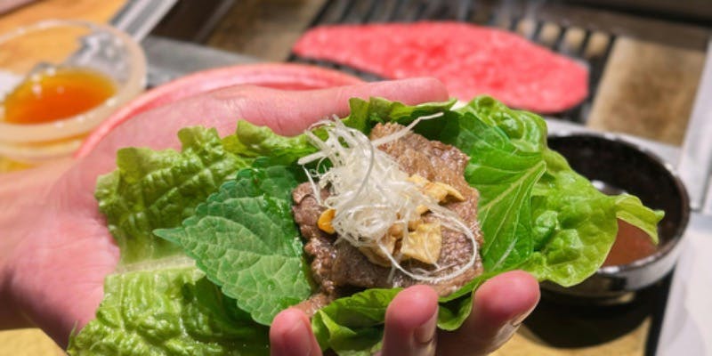 【女性におすすめ！北新地コース】色んな種類の料理やお肉を楽しみたい方へ