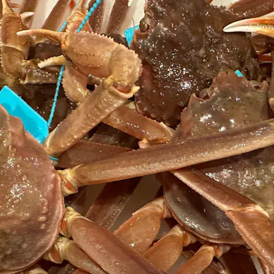 新鮮な魚と旬の味覚を堪能。天然素材にこだわる日本料理居酒屋