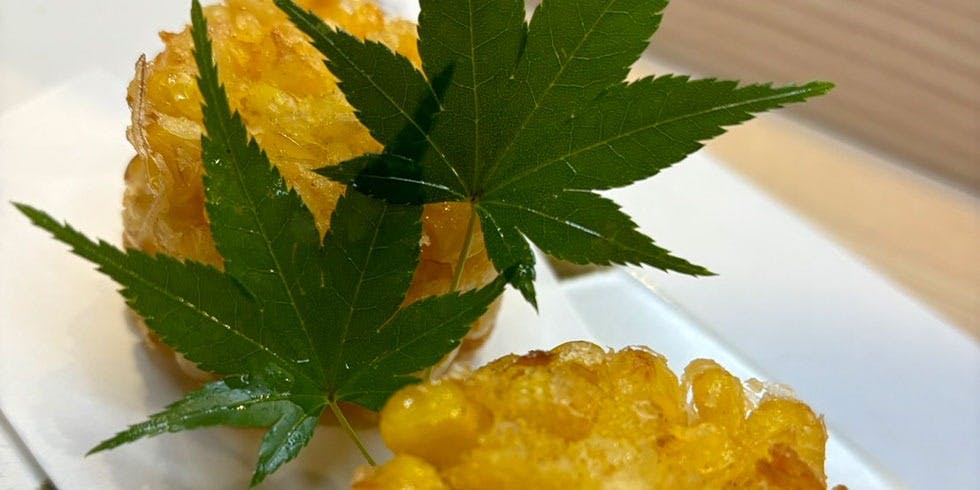 鵜匠の家 岩佐（うしょうのいえ いわさ）