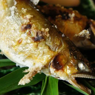 鮎の旨味を引き立てる、絶妙な焼き加減