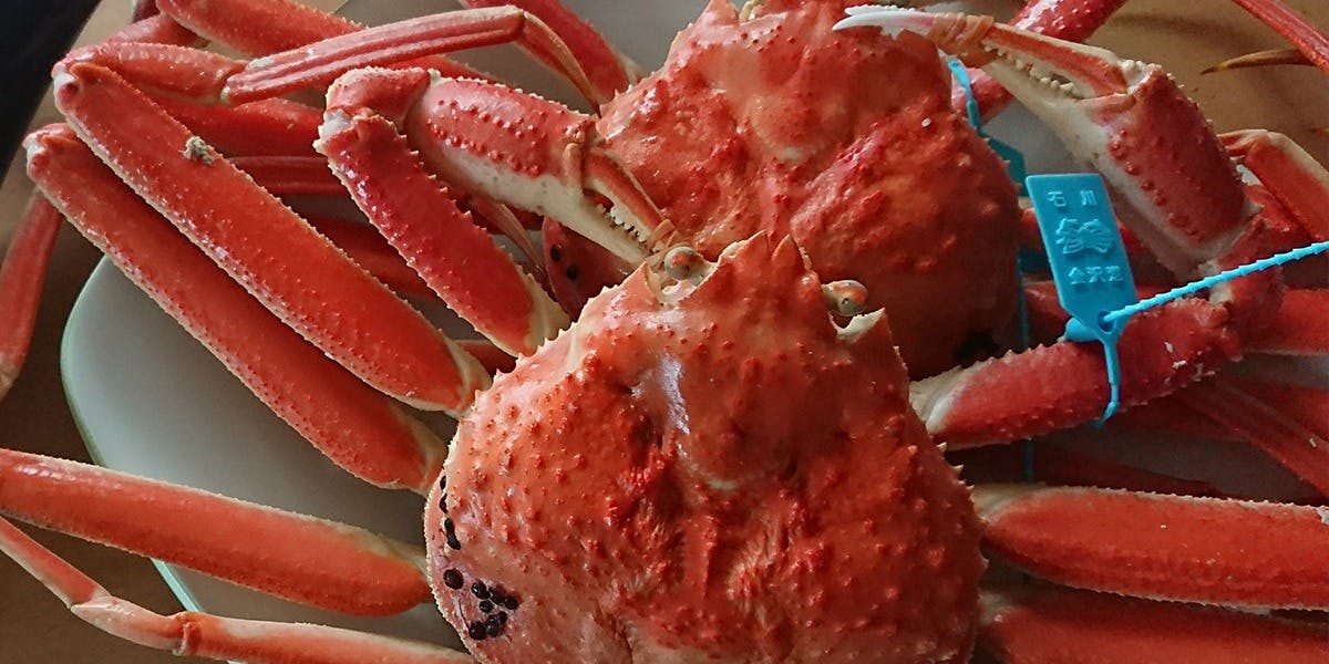 田町 蟹一清 - 画像7