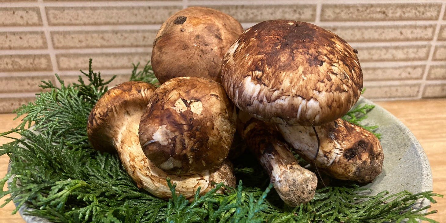 旬彩 心花 - 画像7