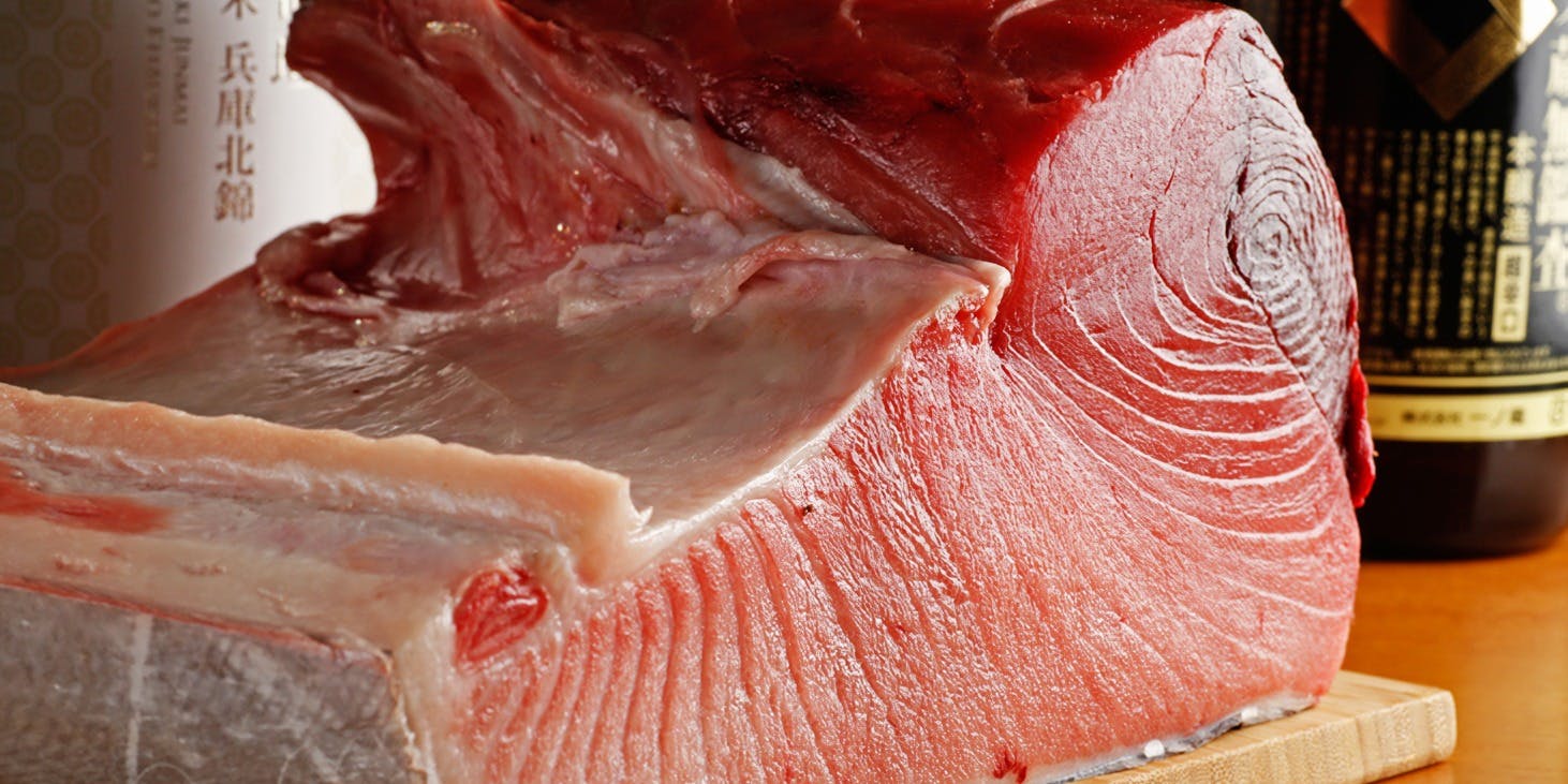 魚河岸素材厨房 魚HIDE - 画像2