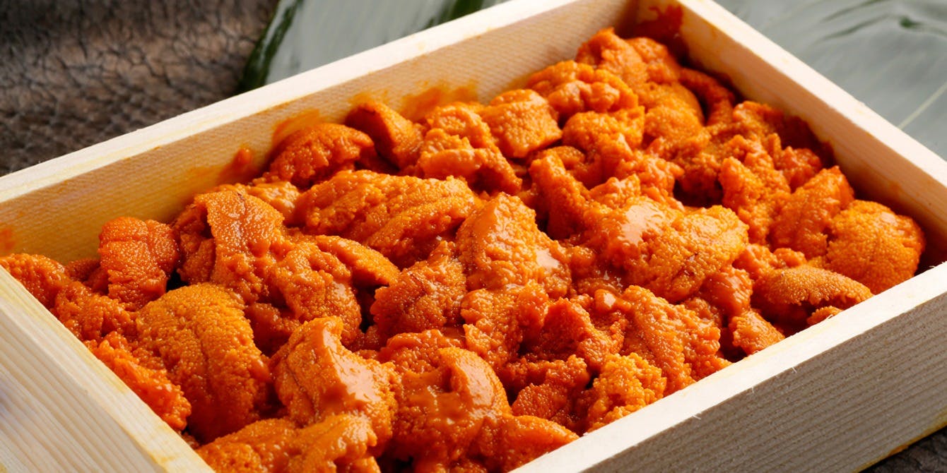 魚河岸素材厨房 魚HIDE - 画像3