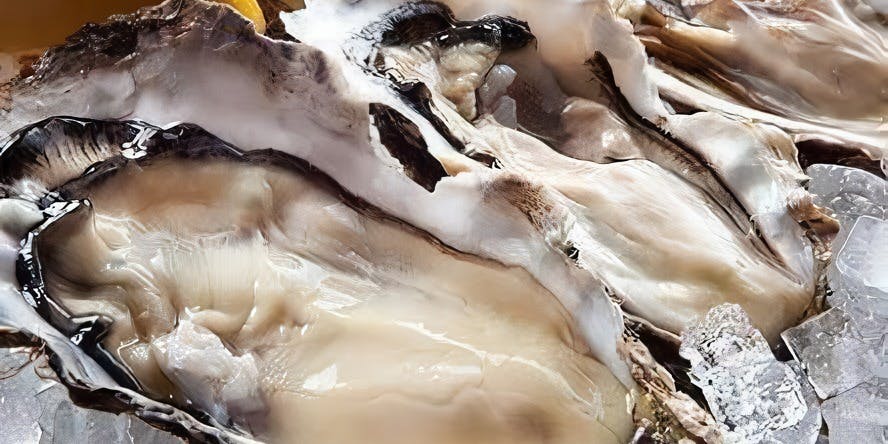 魚河岸素材厨房 魚HIDE - 画像4