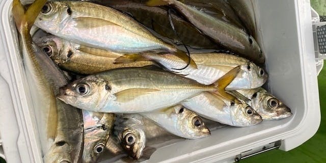 Taki AKANE - 画像5