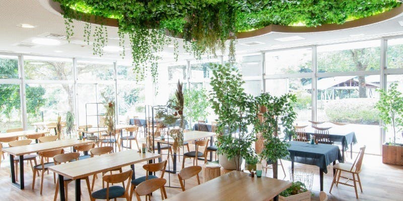 おやさいダイニング  Restaurant MORINIWA／オーパークおごせ - 画像1