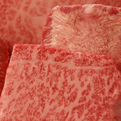 やわらかな肉の旨みを、ひと口ごとにじっくり楽しめます。