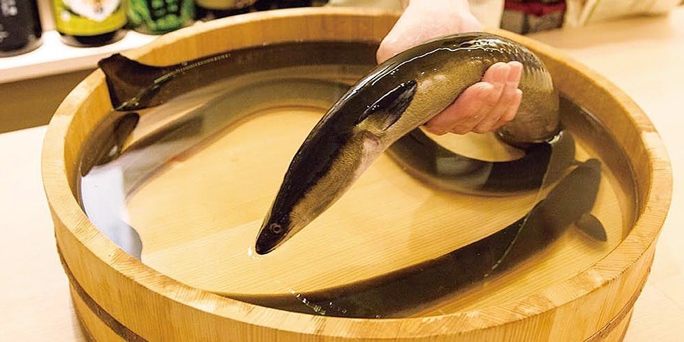 月宵美 - 画像10