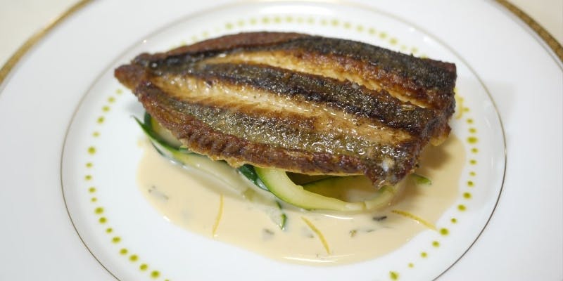 【Bコース】選べる前菜とメイン、日替わり鮮魚のひと皿など