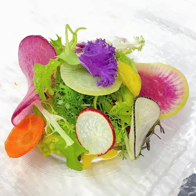 季節の素材を生かした繊細な料理で心を満たす