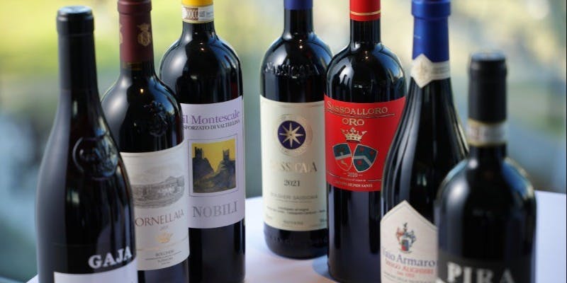 ＜全9品＞ソムリエ厳選【ワインペアリング 5グラス付き季節の厳選ディナーコース】