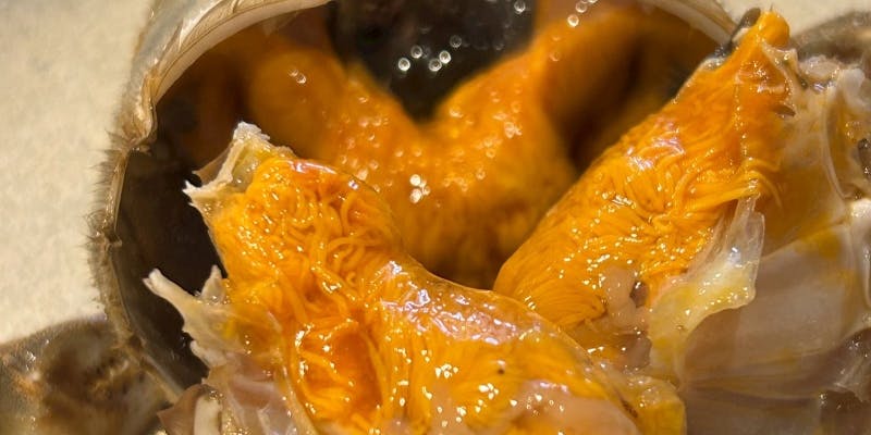 【おまかせコース】