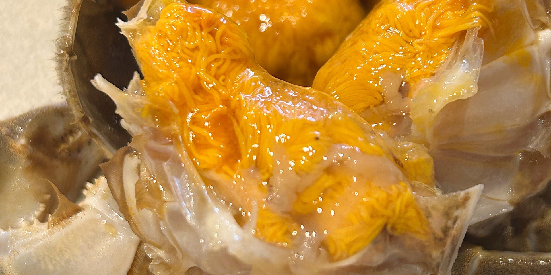 farm studio ＃203 - 画像5