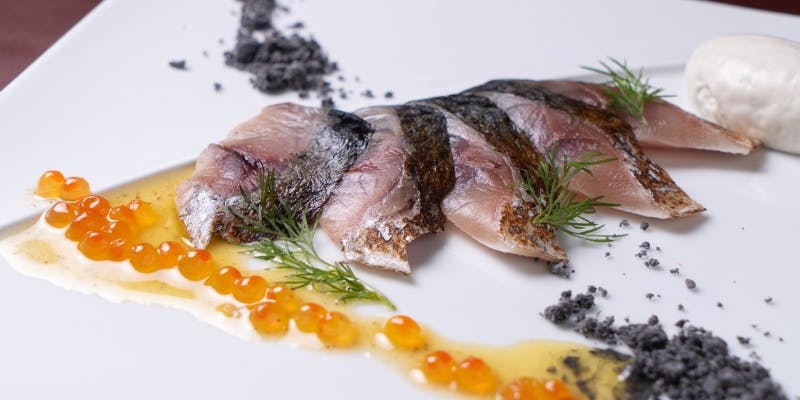 【スタンダードコース】11/11～