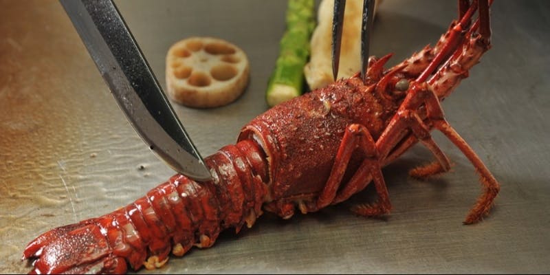 料理長お任せコース