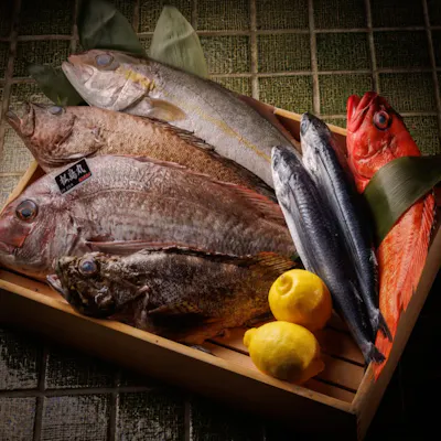 朝採れ鮮魚と生牡蠣を多彩な調理法で