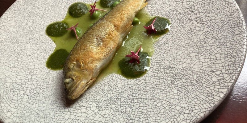 席のみのご予約