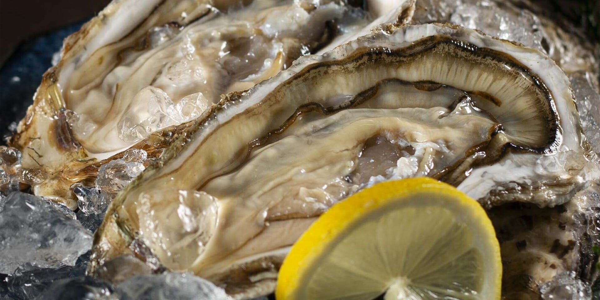 肉と日本酒 いぶり 錦糸町店