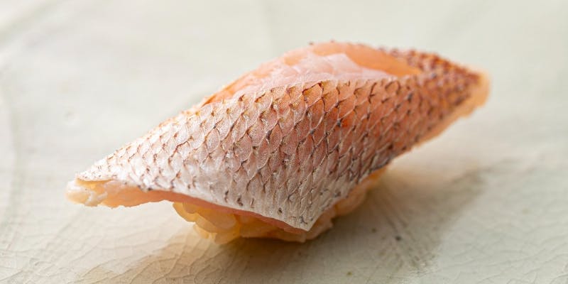 【おまかせコース 10,000円】季節の移ろいと職人の技を味わう