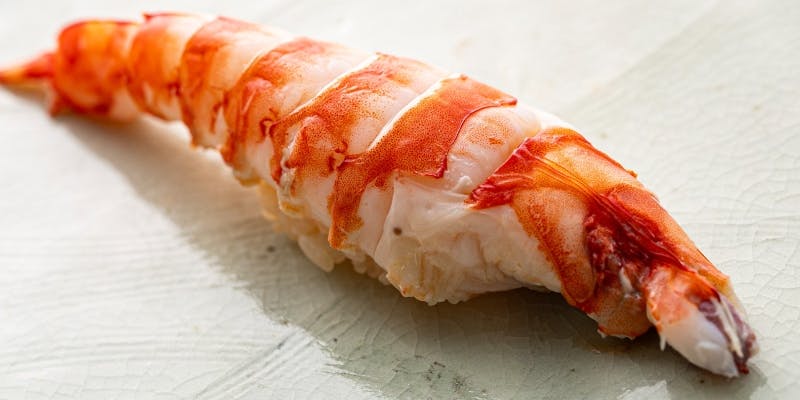 【おまかせコース 8,000円】気軽に楽しむ本格派