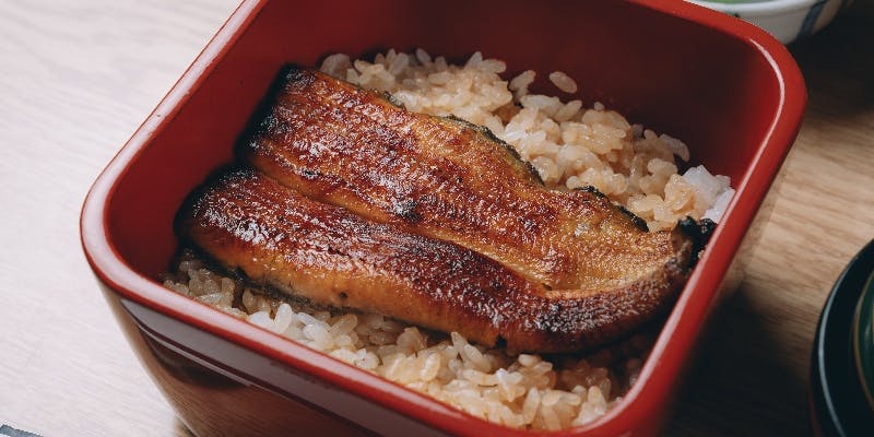 司コース　全9品