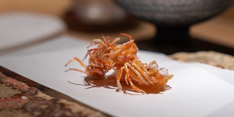 【夜のおまかせ】四季折々の食材を使った天ぷらを愉しむコース