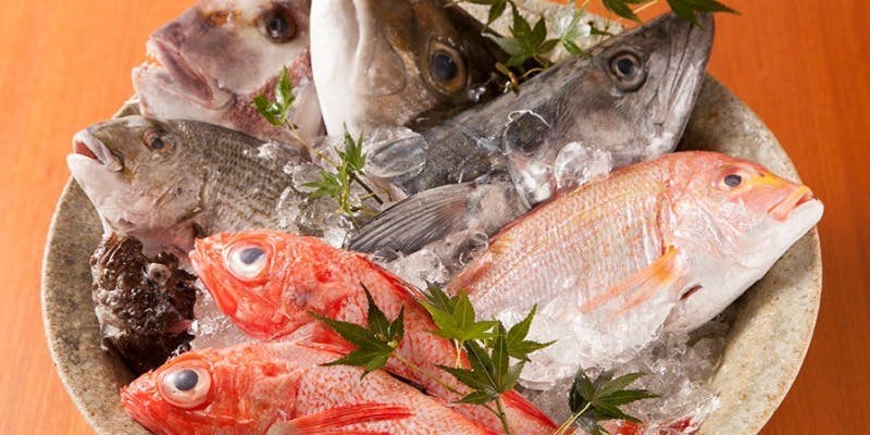 【ランチ限定コース】「辰ヶ浜漁港」より新鮮紀州魚をお届け！熊野牛の逸品も楽しめる全7品（リクエスト）