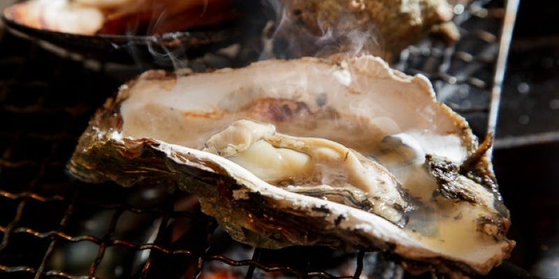 【6600円コース】本格寿司6貫や焼き魚など気軽に楽しめる全13品