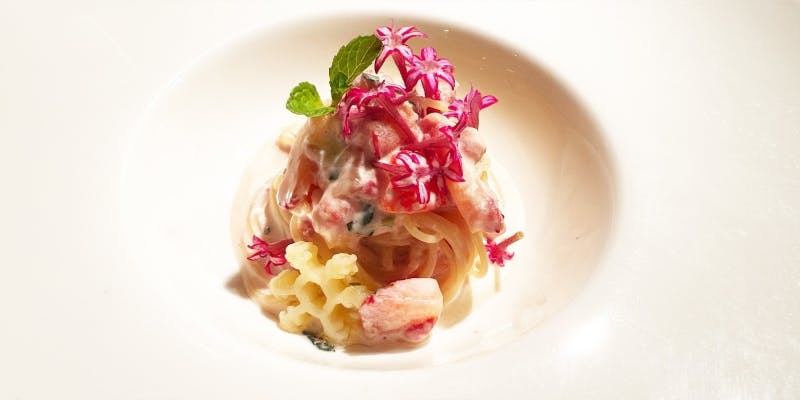 【おまかせコース】＜Stella＞ 季節を味わうベーシックコース全7品