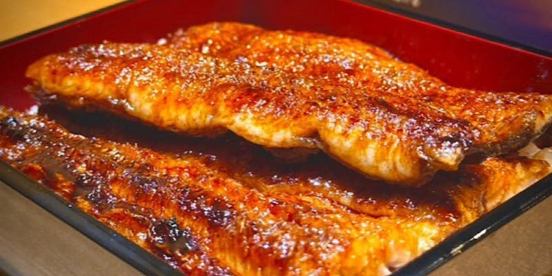 鰻白焼き・小丼コース