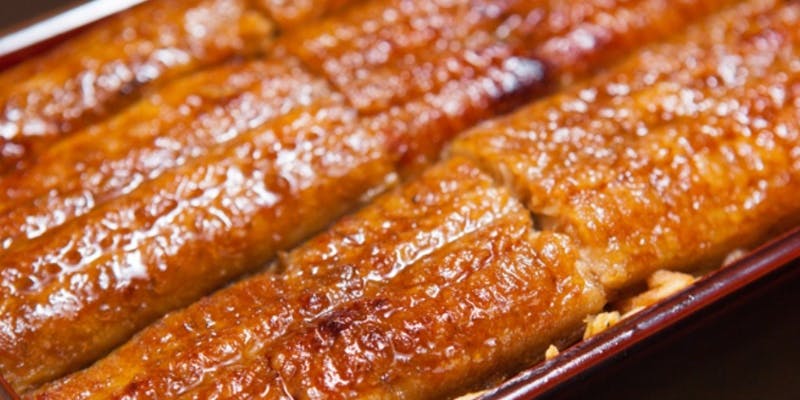 うな重（特上）