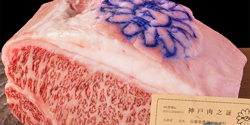 late time short course　　KOBE  