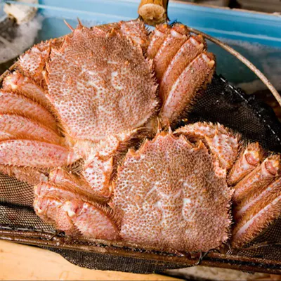 北海道の旬を味わう、特選の料理たち