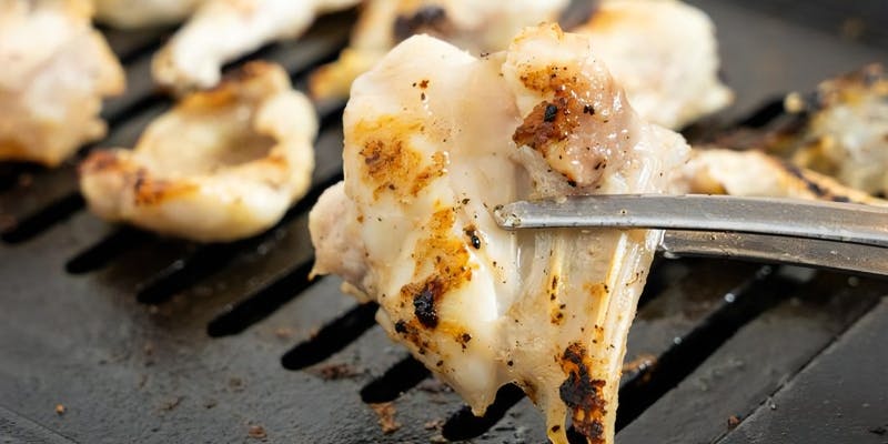 【焼きふぐコース】てっさや焼きふぐを手軽に楽しめる 全4品