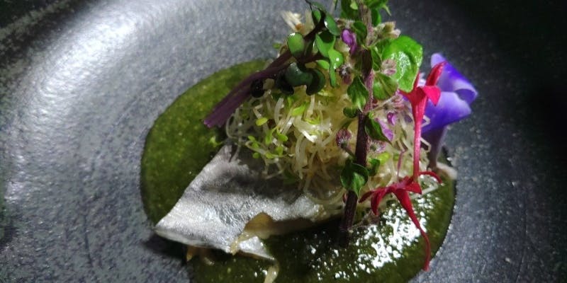 【おまかせコース】前菜やメインを魚料理か肉料理を選べるプラン全12品（チャージ料込　週末プラン）