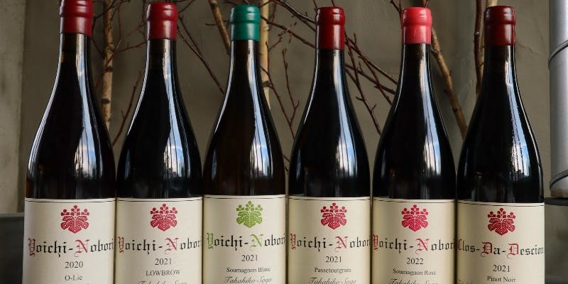 YoichiLOOPで味わう唯一無二の極上体感コース＆ペアリング