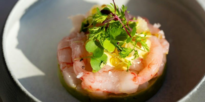 Kiln & Tonic�i�L�������g�j�b�N�j�^�t�F�A�����g����