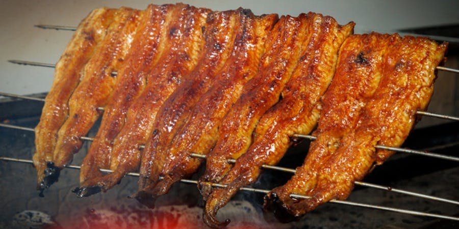 嵐山 うな秀 - 画像5