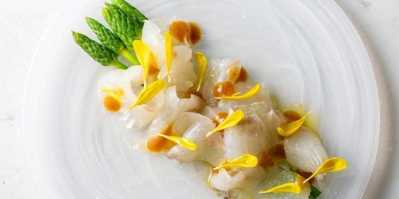 テイスティングコース 主菜（味噌漬け焼き富士サーモン）（～12/23迄の来店予約）