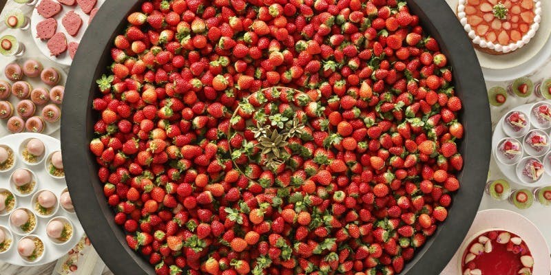 【平日限定】恋するいちごビュッフェ ～Strawesome Festival！～（1/7～3/31）