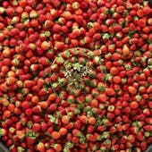 インターナショナル・ビュッフェ・レストラン「PACIFIC TABLE」/ウェスティンホテル横浜